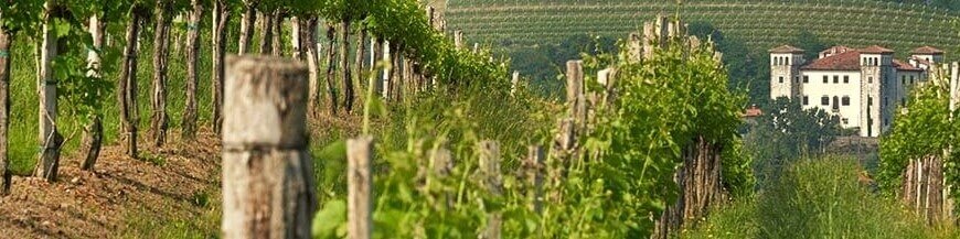 Slovenie
